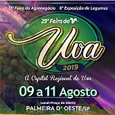 29º FEIRA DA UVA DE PALMEIRA D´OESTE