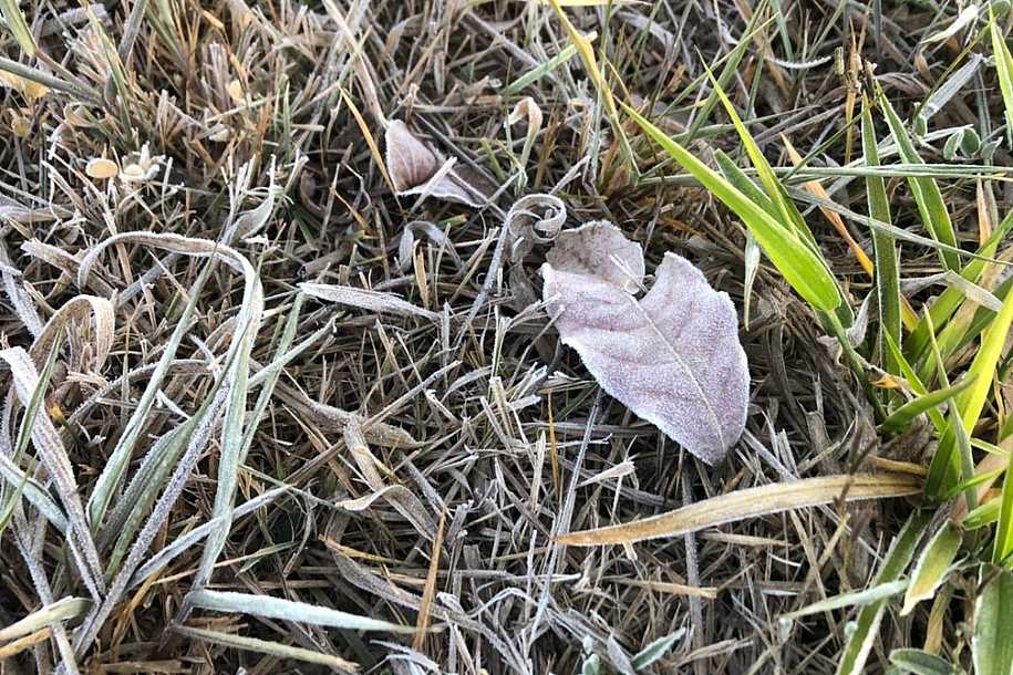 Dirce Reis registra a temperatura mais baixa da região nesta quinta-feira (1º), com -1,7ºC