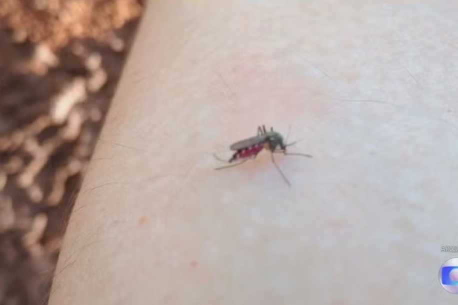 Rio Preto confirma a 3ª morte por dengue no ano