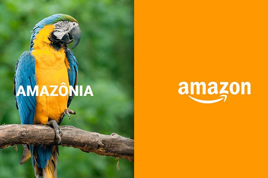Amazon vai restaurar florestas na Amazônia do País em ação de remoção de carbono