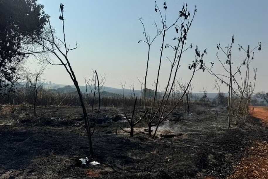 Olímpia tem focos de incêndio após nova onda de calor