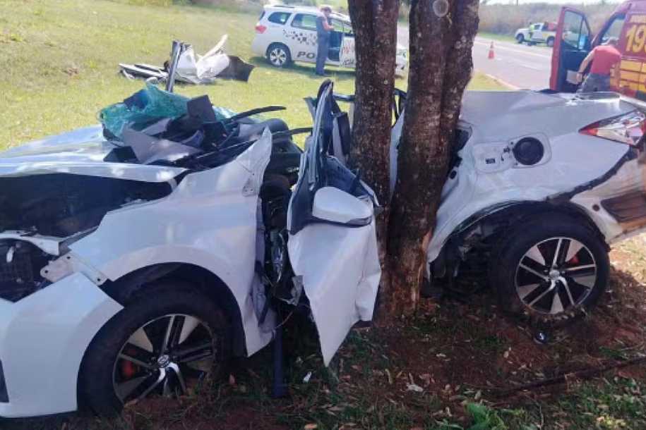 Motorista morre ao bater veículo contra árvore em rodovia