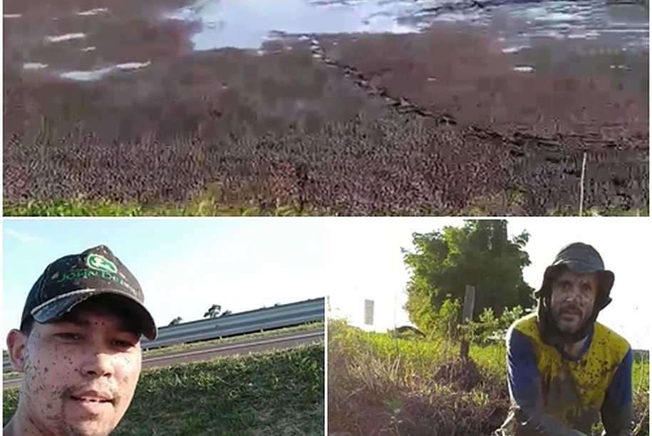 Moradores se unem para salvar peixes após lagoa secar no interior de SP: Satisfação muito grande