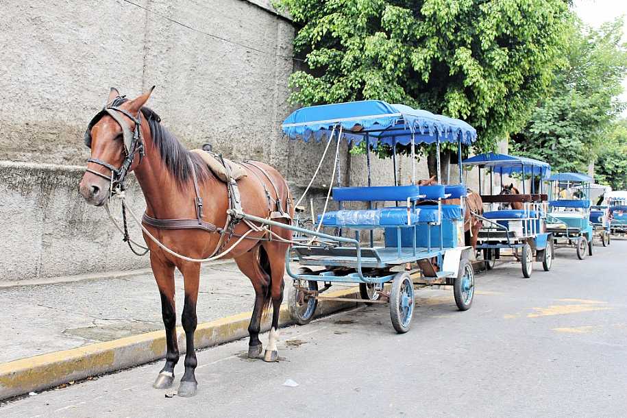Emplacamento de carroças e charretes passa a ser obrigatório em Araçatuba