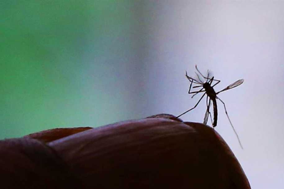 Rio Preto confirma mais três mortes por dengue em 2021