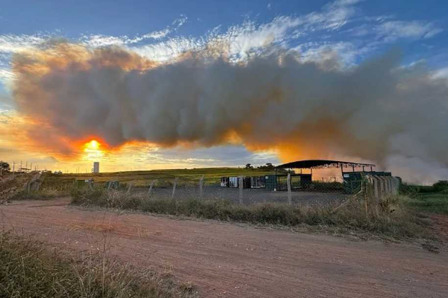 Área da Fazenda Municipal é alvo de incêndio em Rio Preto