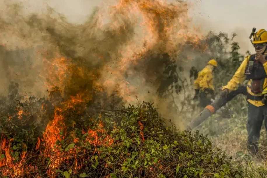 Fogo já consumiu 1,3 milhão de hectares e volta a aumentar no Pantanal