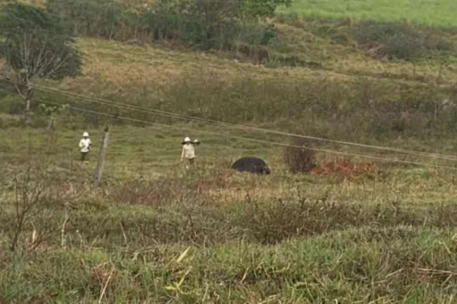 Temporal provoca morte de quatro vacas eletrocutadas e causa estragos na região de Rio Preto