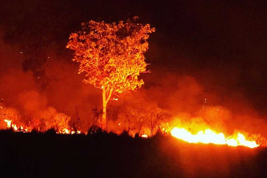 Incêndios no antigo IPA, em Rio Preto, já consumiram mais de 500 campos de futebol