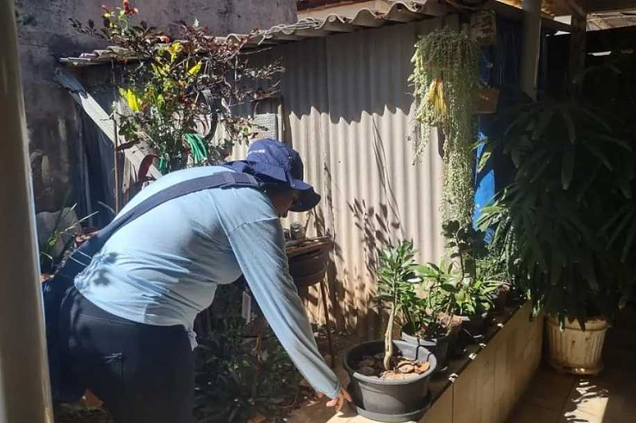 ´Mutirão da dengue´ em Jales: Saiba em quais bairros ação passará nos próximos dias