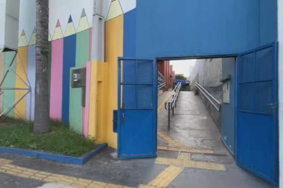 Criança é picada por escorpião dentro de escola municipal em Fernandópolis; local foi dedetizado