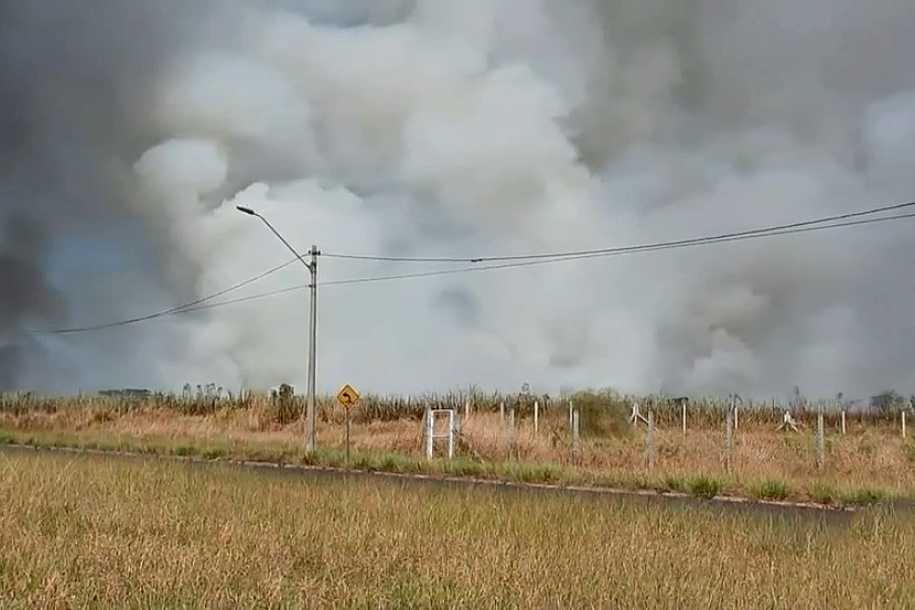 Queimada atinge plantação de cana-de-açúcar em Rio Preto