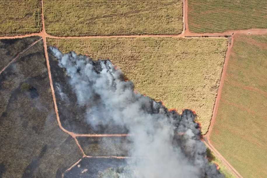 Incêndio de grandes proporções atinge canavial de usina sucroalcooleira em Guapiaçu