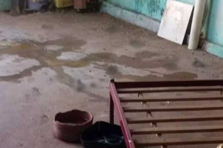 Mulher tem braço dilacerado após ser atacada por pitbull em canil clandestino de Birigui