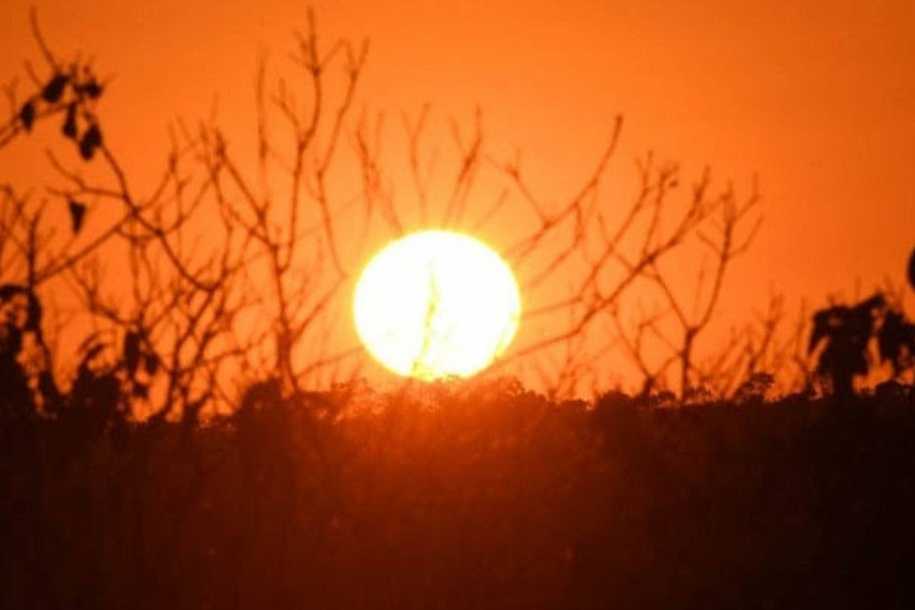 Palmeira d´Oeste tem umidade menor à verificada em desertos como o Saara