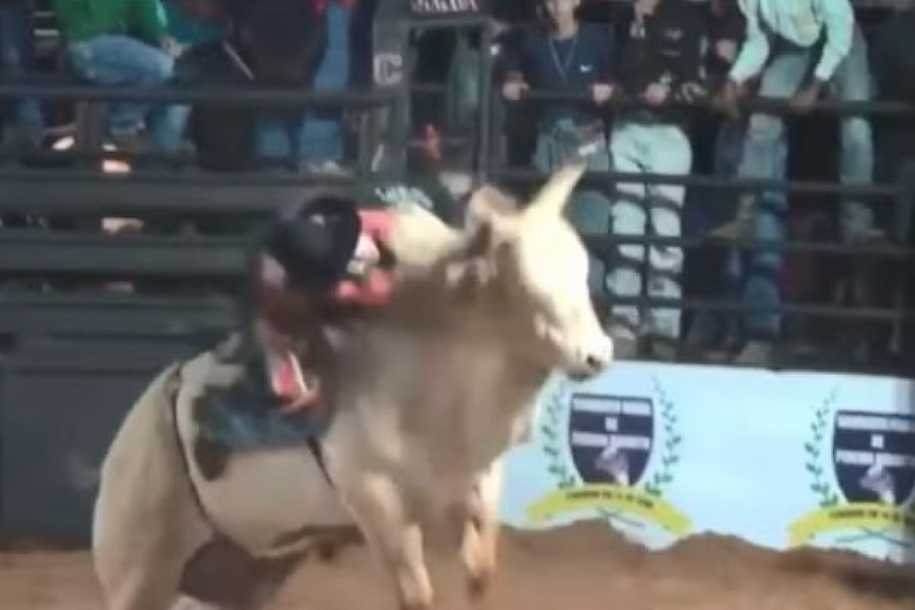 Peão quebra o maxilar após bater rosto contra chifre de touro em rodeio no interior de SP; vídeo