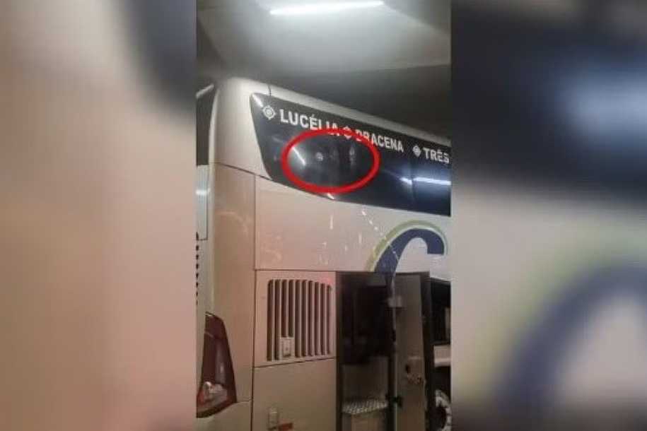 Homem é detido após dar tiro dentro de ônibus em Rio Preto