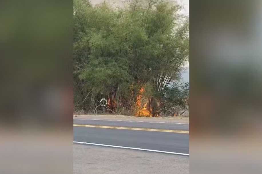 MP denuncia suspeitos de invadir propriedade para colocar fogo em área de mata em Penápolis