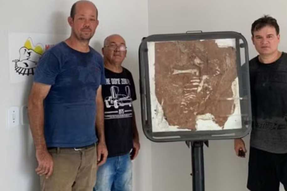 Fóssil de crocodilo pré-histórico de 80 milhões de anos é exposto em museu no interior de SP