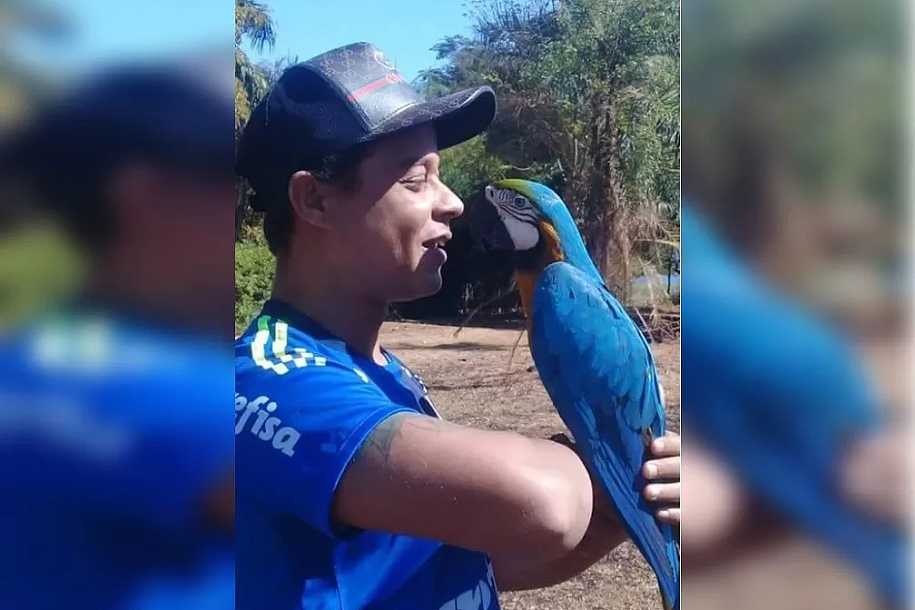 Arara-canindé conhecida por passear de moto morre após ataque de cães no interior de SP