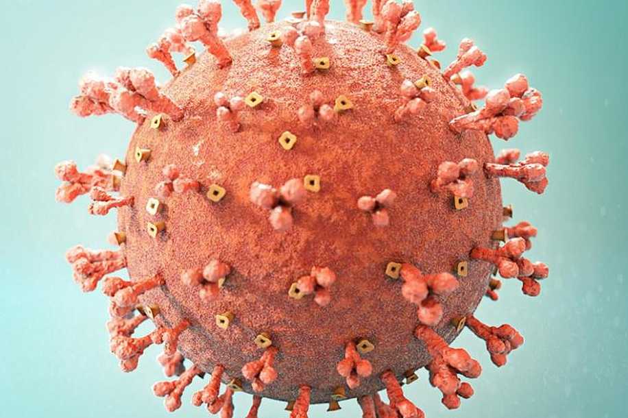 Brasil vê média diária de vítimas da covid-19 voltar a se aproximar de 2 mil