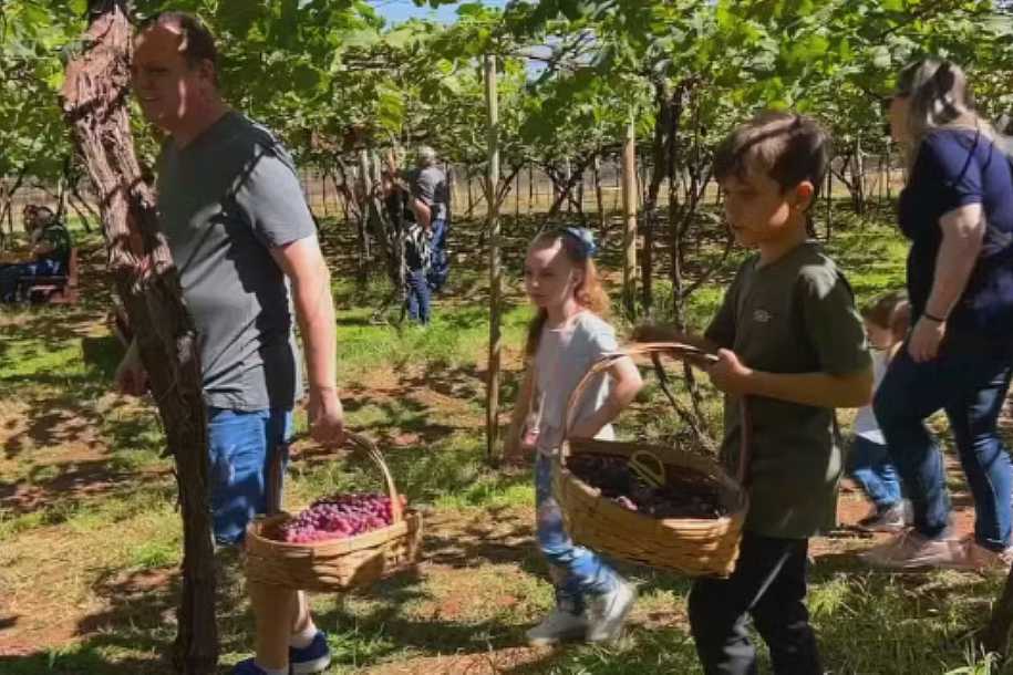 Cidades do noroeste paulista investem na experiência do campo para atrair visitantes