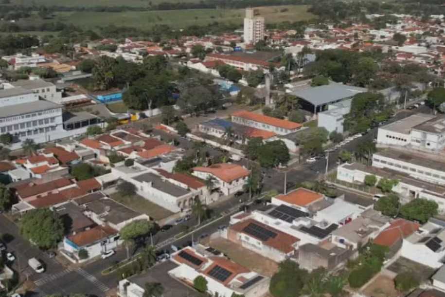 Tem Solução: arborização ajuda a reduzir calor extremo e ganha espaço como estratégia de adaptação climática
