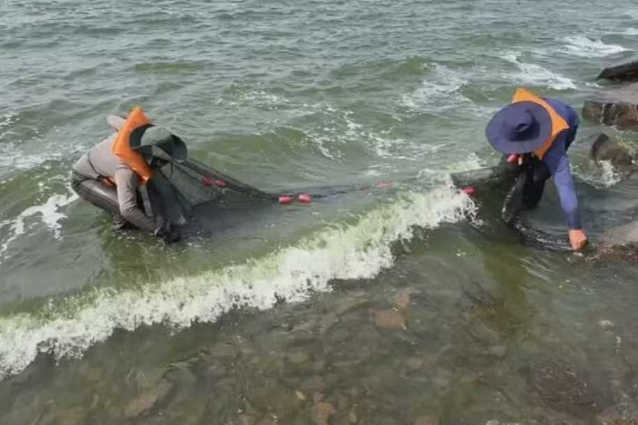 Projeto preserva peixes do Rio Tietê de efeitos da obra de duplicação da maior ponte do estado de SP