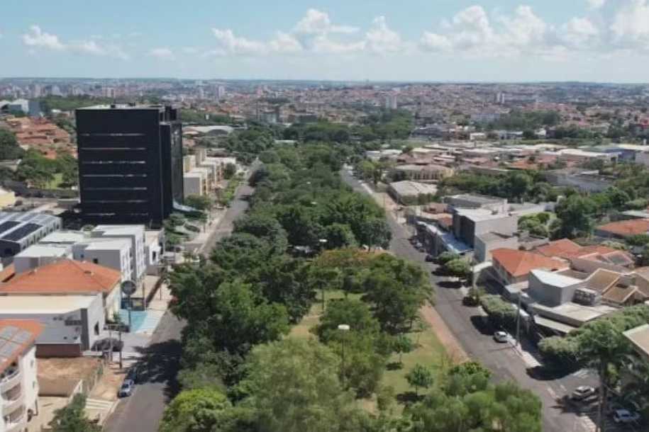Projeto de revitalização e combate a enchentes prevê retirada de 943 árvores em avenida de Rio Preto