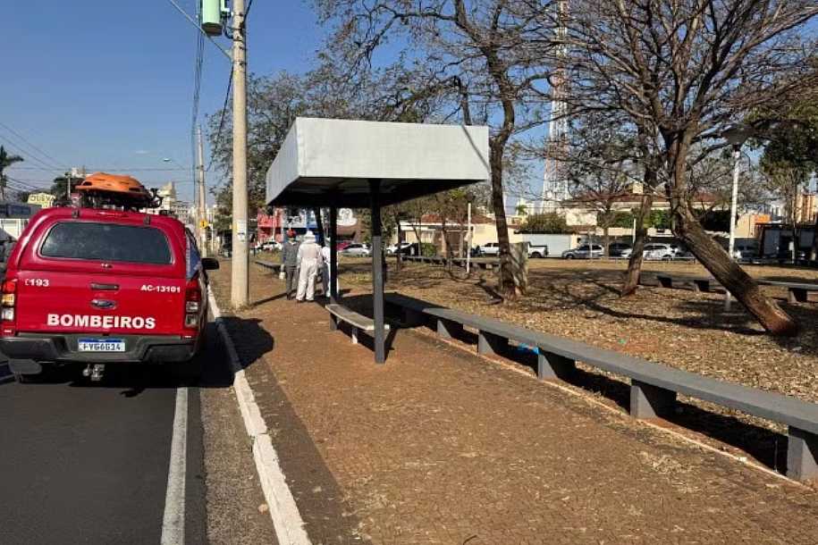 Quatro pessoas são atacadas por abelhas em avenida de Rio Preto
