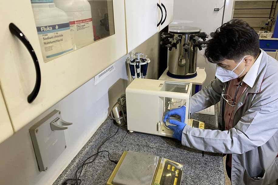 Pesquisador da Unesp desenvolve biofilme com cascas de frutas cítricas capaz de conter hemorragias