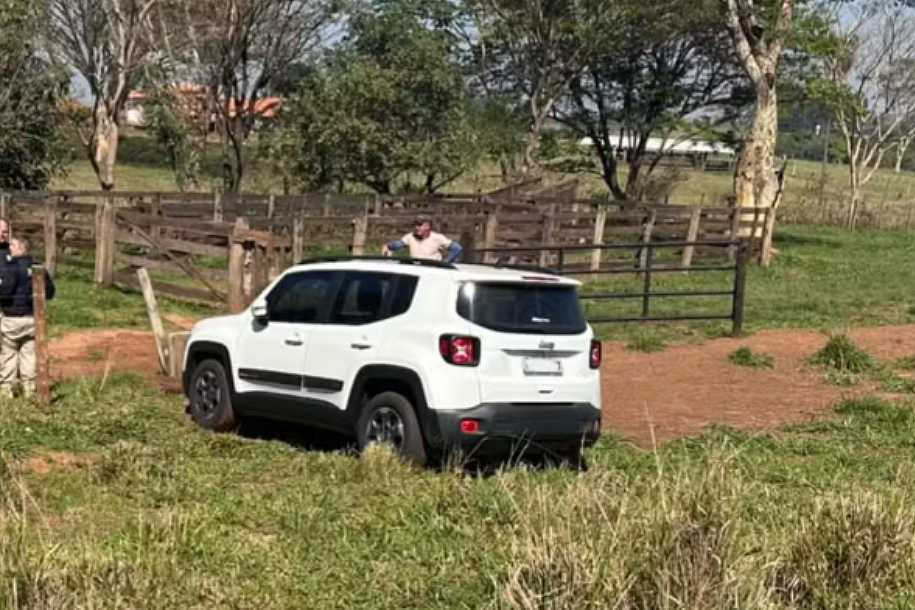 Idosa para em acostamento de rodovia e desce em busca de plantas, esquece de puxar freio e carro invade sítio