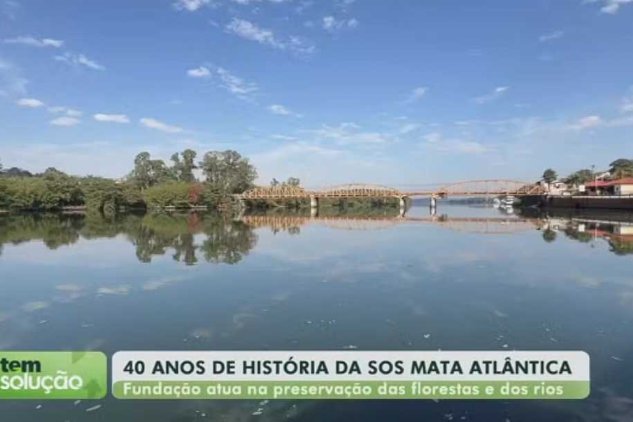 Tem Solução: SOS Mata Atlântica completa 40 anos com projetos de recuperação de rios e florestas