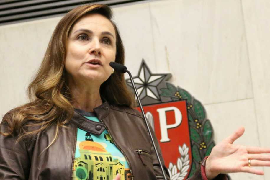 Analice Fernandes vota a favor de projeto que acaba com direitos de servidor em SP