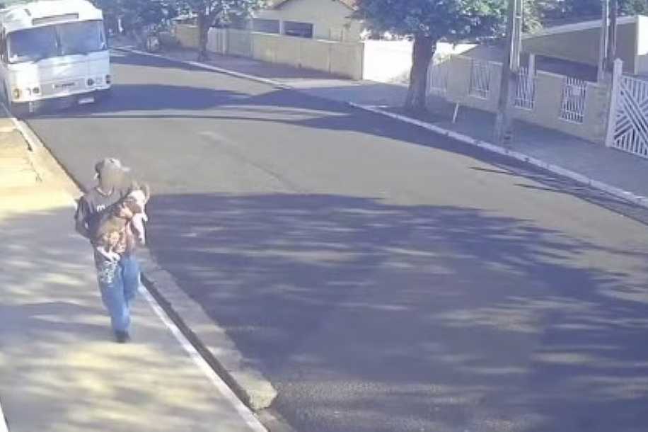 VÍDEO: Cão de 4 meses é furtado em plena luz do dia no interior de SP; polícia procura suspeito
