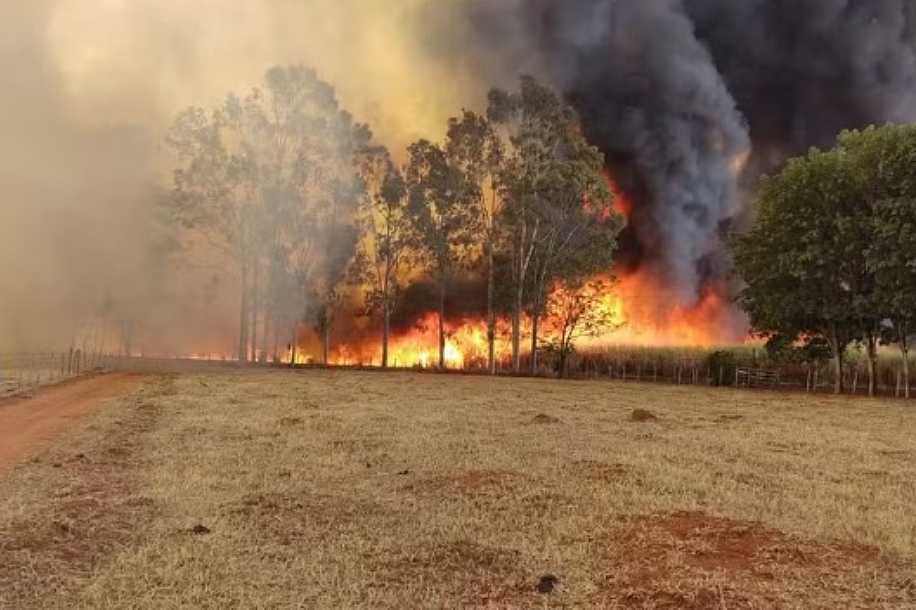 Com altas temperaturas, noroeste paulista volta a registrar focos de incêndio nesta sexta-feira