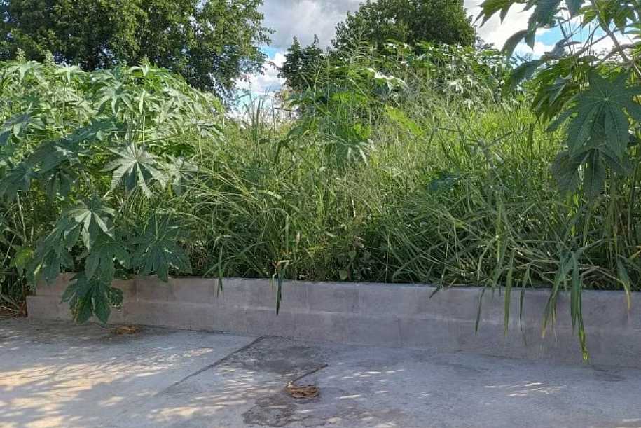 Araçatuba dá prazo de 10 dias para limpeza a proprietários de terrenos como estratégia no combate à dengue