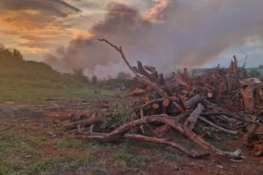 Incêndio atinge área da Fazenda Municipal em Rio Preto