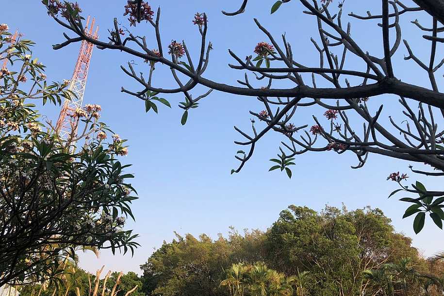 Primavera começa com queda de 10ºC na temperatura e qualidade do ar ruim em Rio Preto