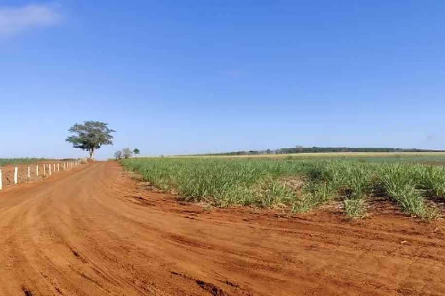 Caseiro de fazenda que morreu carbonizado tentava combater incêndio em canavial em Clementina