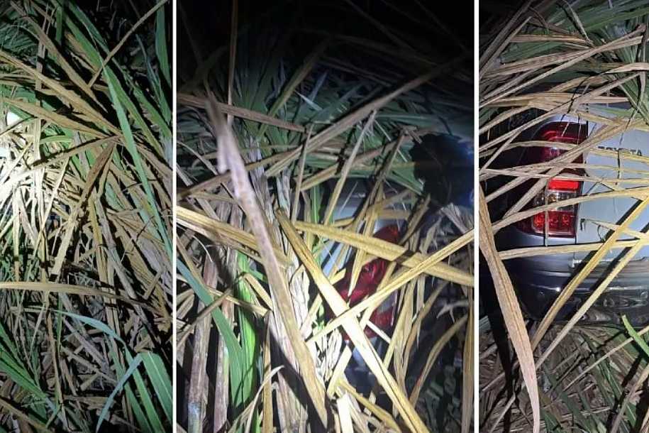 Polícia Civil de Jales recupera caminhonete furtada escondida em canavial de Pontalinda