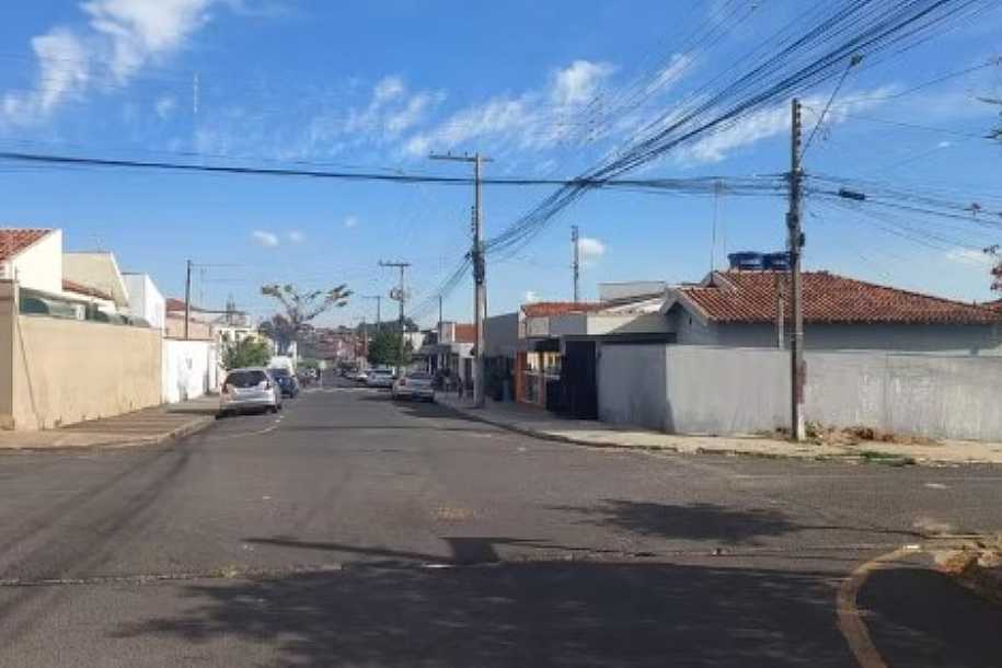 STF determina que municípios acolham animais abandonados e maltratados com base em ação movida em Catanduva