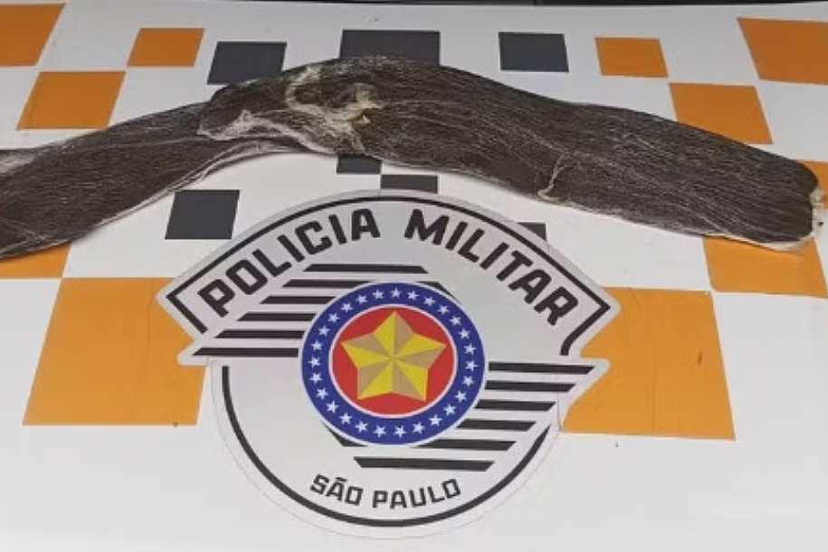 Adolescente é apreendida com porções de haxixe em ônibus