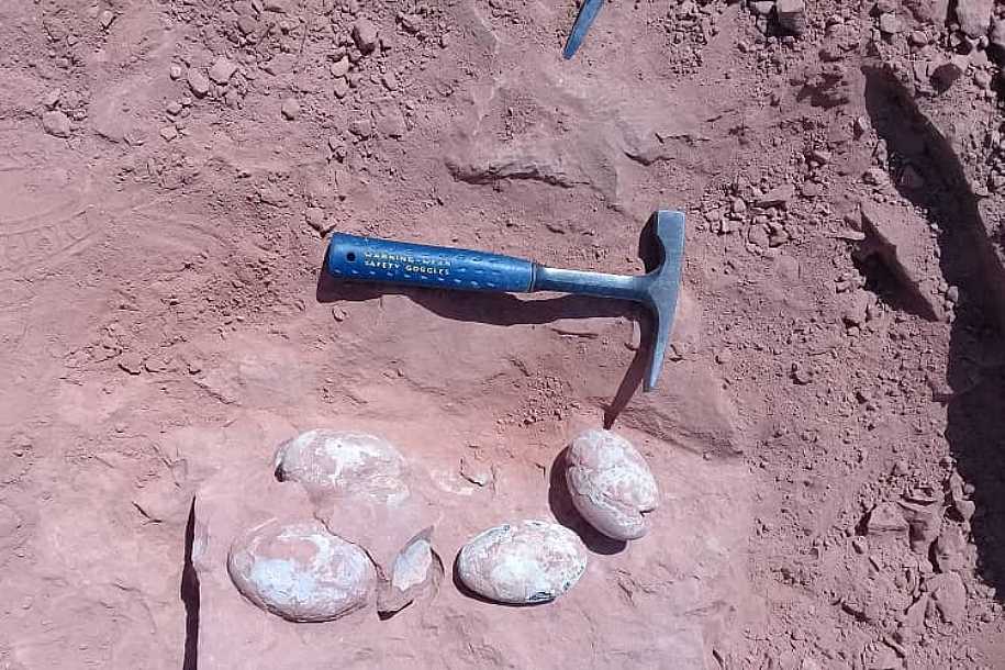 Ovos de dinossauro são descobertos em Presidente Prudente