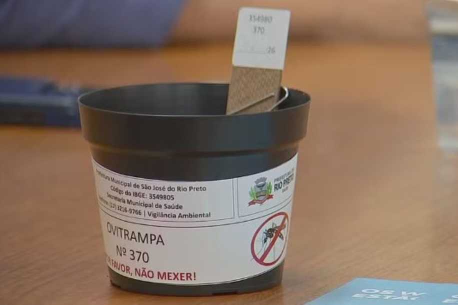 ´Wolbitos´: Rio Preto aposta na soltura de mosquitos com bactéria que combate a dengue