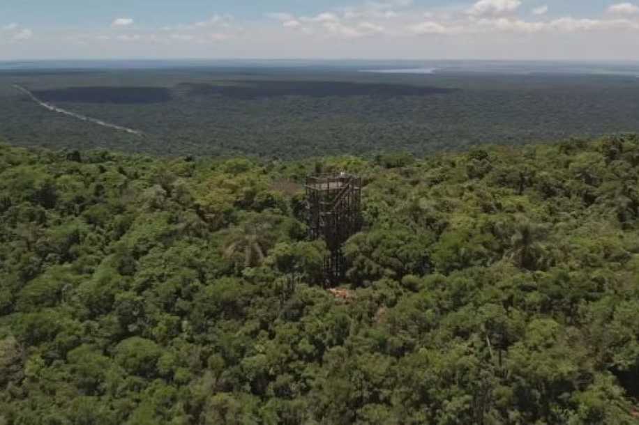 Parque Estadual abriga maior remanescente de Mata Atlântica do interior paulista