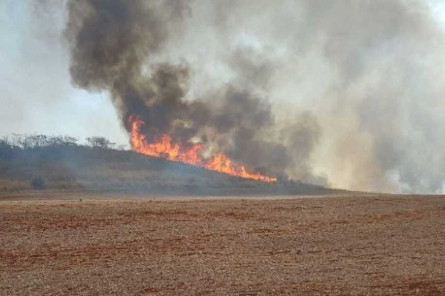 Governo de SP lança pacote de ações para produtores rurais afetados por incêndios