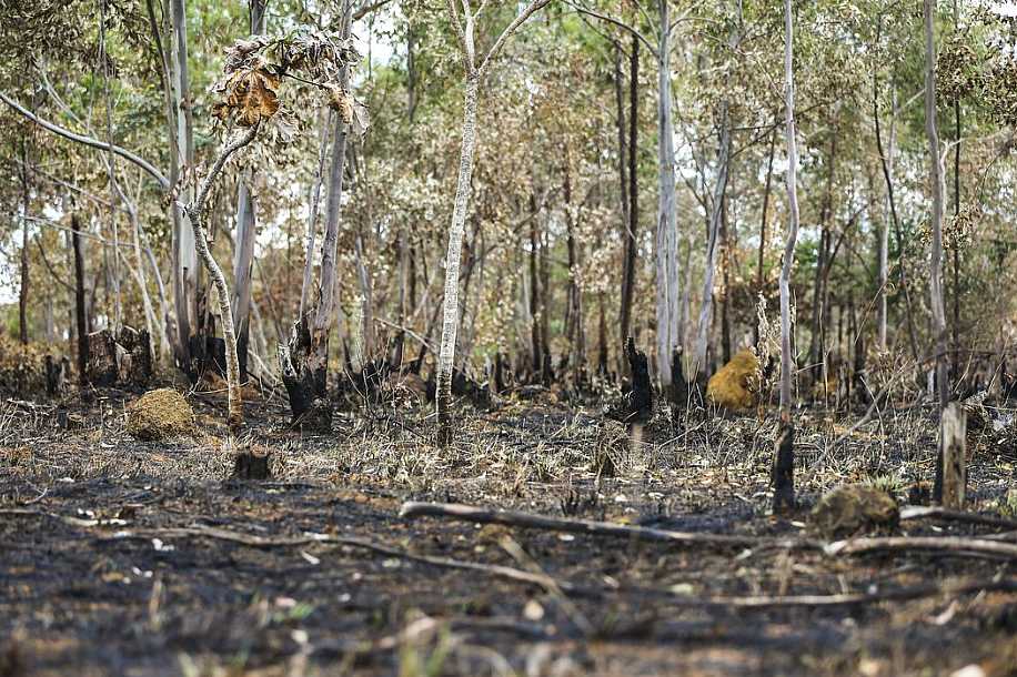 Governo de SP alerta para riscos respiratórios durante período de queimadas