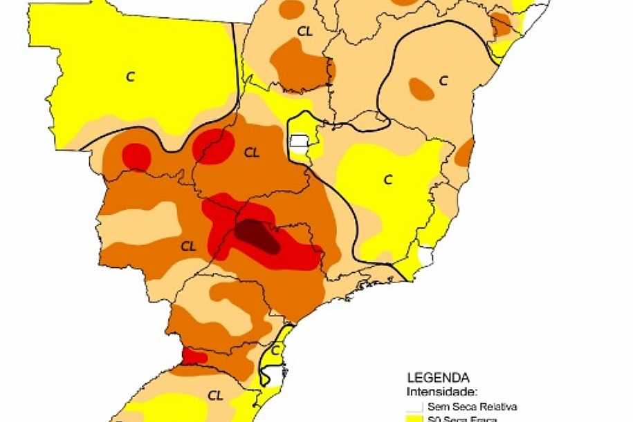 Palmeira d´Oeste e região vivem a pior seca dos últimos 90 anos