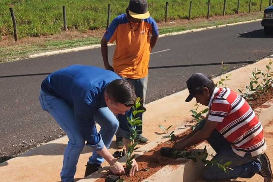PREFEITURA REALIZA PLANTIO DE MUDAS EM NOVA PISTA DE CAMINHADA